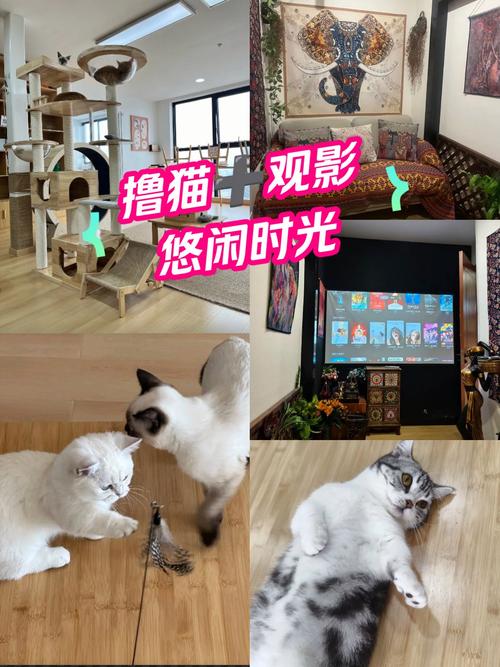 惊魂电影院：沉浸式恐怖体验揭秘，胆小慎入的午夜场观影指南
