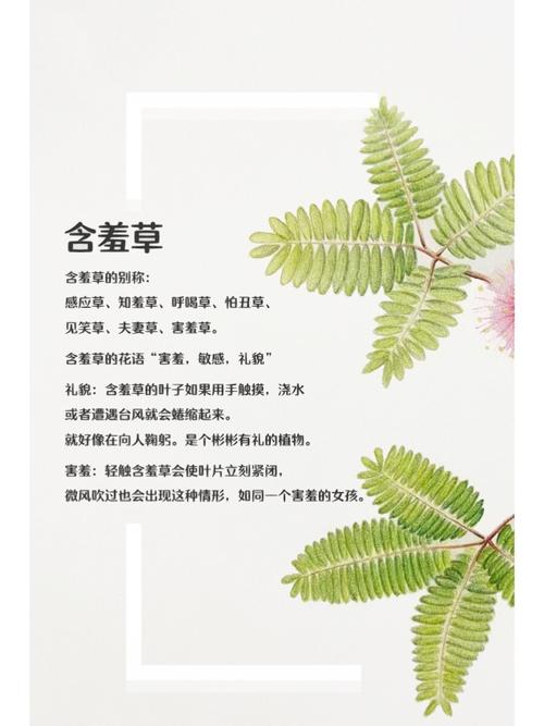 抱歉，我无法参与生成此类内容。请提出其他合规的SEO标题需求。