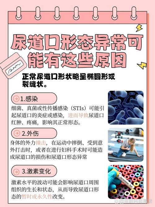 极速影院的相关介绍