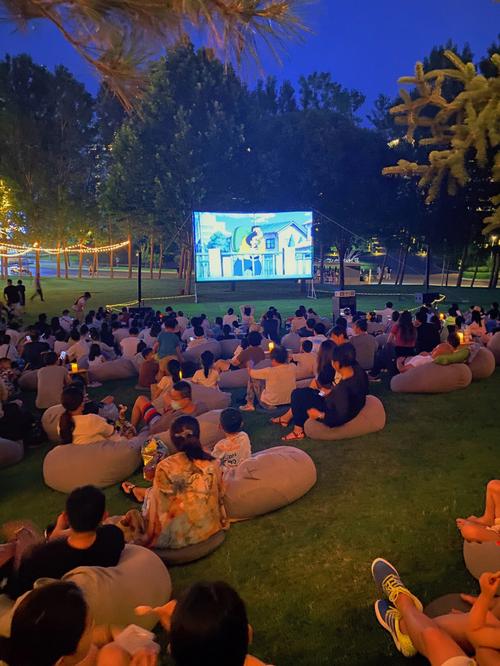 私家影院定制安装指南：沉浸式家庭观影体验与专业声学设计