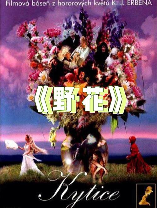 很很鲁在线视频播放影院 - 2024最新高清影视免费在线观看 | 热门短剧资源推荐