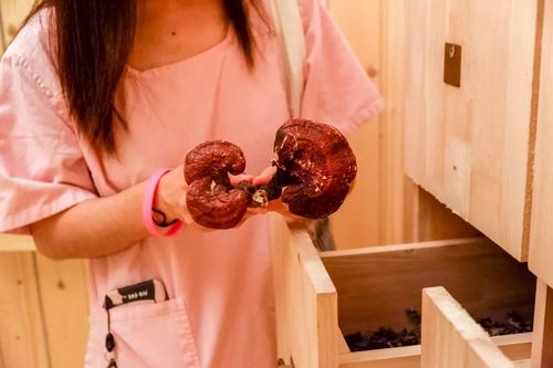 好男人视频影院高清在线 - 2025最新热门影视资源免费观看、无广告流畅追剧