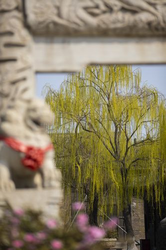 亚洲伊人少妇优雅穿搭指南，气质连衣裙与日常搭配技巧分享