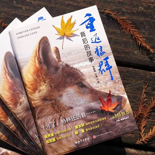 狼群影院网在线观看 - 最新热门电影电视剧免费高清资源,全网影视在线极速播放