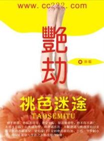 熟妇av区的相关介绍