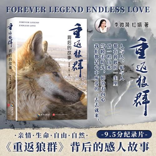狼群影院网在线观看 - 最新热门电影电视剧免费高清资源,全网影视在线极速播放