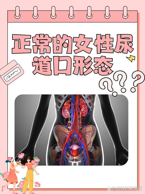 下载看一看视频app的相关介绍
